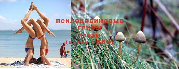 прущая мука Абинск